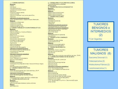 TUMORES BENIGNOS o INTERMEDIOS (2)