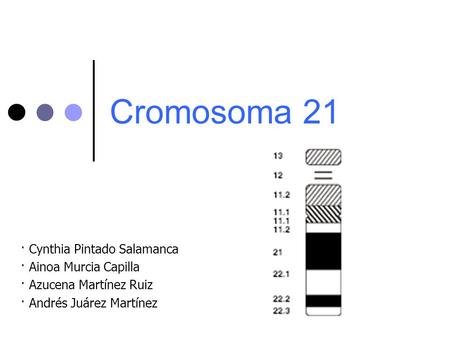 Cromosoma 21 · Cynthia Pintado Salamanca · Ainoa Murcia Capilla