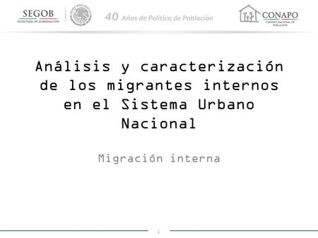 Análisis y caracterización de los migrantes internos en el Sistema Urbano Nacional Migración interna.