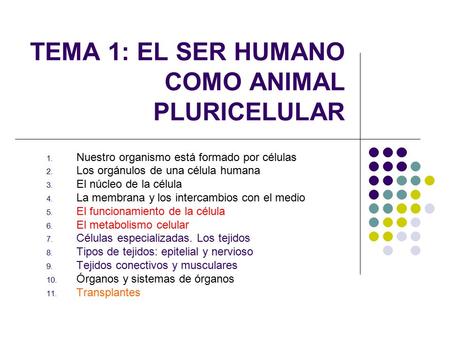 TEMA 1: EL SER HUMANO COMO ANIMAL PLURICELULAR