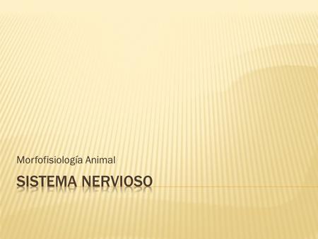Morfofisiología Animal