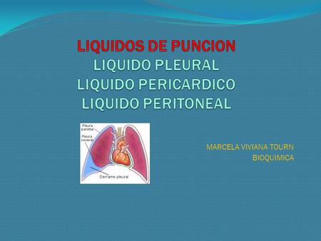 MARCELA VIVIANA TOURN BIOQUIMICA