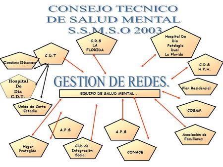 CONSEJO TECNICO DE SALUD MENTAL S.S.M.S.O 2003 GESTION DE REDES.