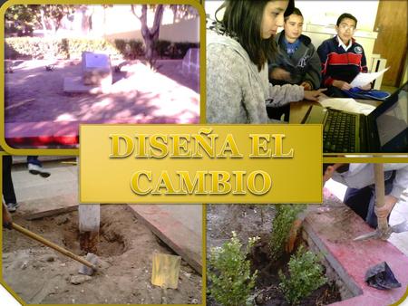 Esc. Sec. Tec. Nº 67 Turno Matutino Clave: 24DST0074J Topacio Nº 600, Valle Dorado San Luis Potosi, S.L.P. o Director: Jesús T. Rubio Hernández. o Maestra.