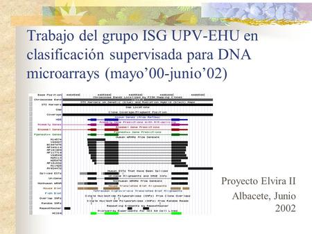 Trabajo del grupo ISG UPV-EHU en clasificación supervisada para DNA microarrays (mayo’00-junio’02) Proyecto Elvira II Albacete, Junio 2002.