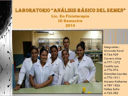 Lic. En Fisioterapia III Semestre 2014 Integrantes : Alvarado Karol 9-744-929 Carrera Alice 4-777-1372 Castillo Luis 4-776-974 González Lourdes 4-770-1911.