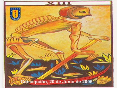 Concepción, 20 de Junio de 2005.