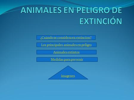 ANIMALES EN PELIGRO DE EXTINCIÓN