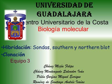 Universidad De Guadalajara Centro Universitario de la Costa