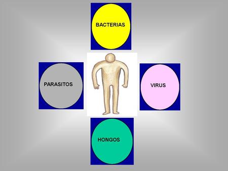 REPLICACION EXTRACELULAR REPLICACION INTRACELULAR BACTERIAS REPLICACION EXTRACELULAR REPLICACION INTRACELULAR Mycobacterium tuberculosis Neumococo.