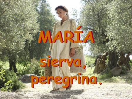 MARÍA sierva, peregrina..
