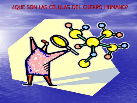 ¿QUE SON LAS CÉLULAS DEL CUERPO HUMANO?. Unidad fundamental de los organismos vivos, generalmente de tamaño microscópico, capaz de reproducción independiente.
