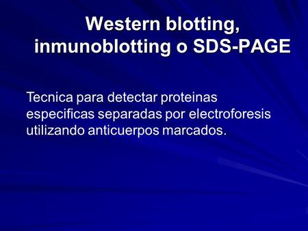 Western blotting, inmunoblotting o SDS-PAGE