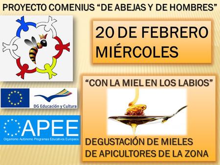 20DE FEBRERO MIÉRCOLES 20DE FEBRERO MIÉRCOLES PROYECTO COMENIUS “DE ABEJAS Y DE HOMBRES”