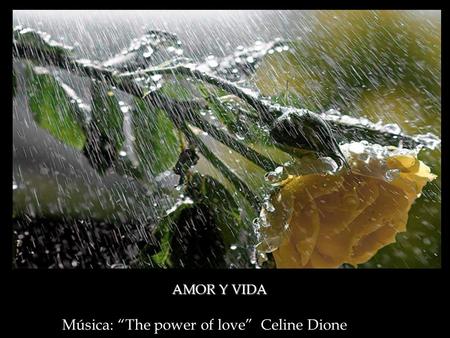 Música: “The power of love” Celine Dione AMOR Y VIDA.