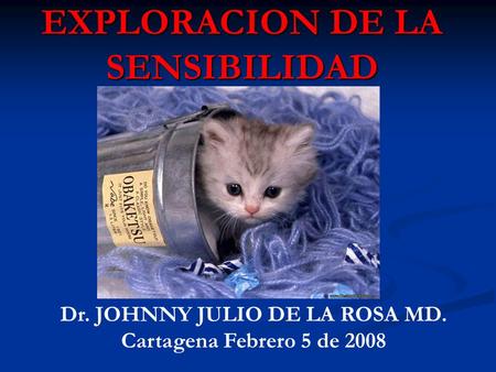 EXPLORACION DE LA SENSIBILIDAD