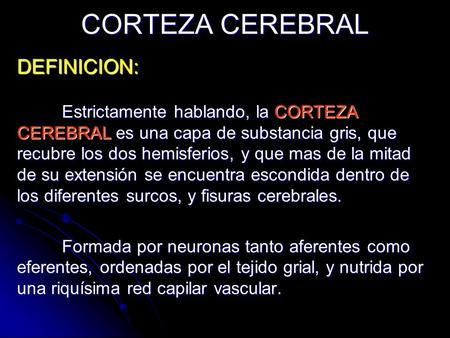 CORTEZA CEREBRAL DEFINICION: