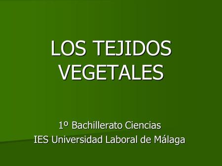 1º Bachillerato Ciencias IES Universidad Laboral de Málaga