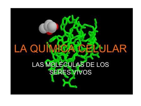 LAS MOLÉCULAS DE LOS SERES VIVOS