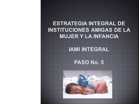 ESTRATEGIA INTEGRAL DE INSTITUCIONES AMIGAS DE LA MUJER Y LA INFANCIA