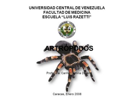 Profesora: Carmen Emilia Durán
