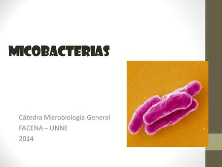Cátedra Microbiología General FACENA – UNNE 2014
