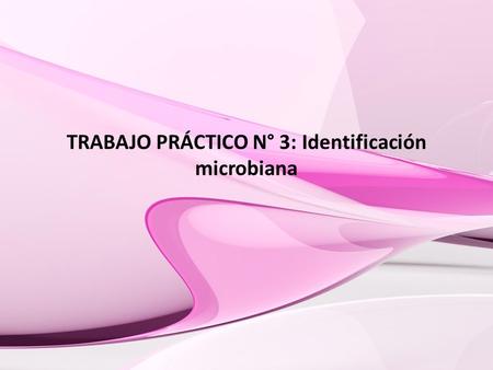 TRABAJO PRÁCTICO N° 3: Identificación microbiana