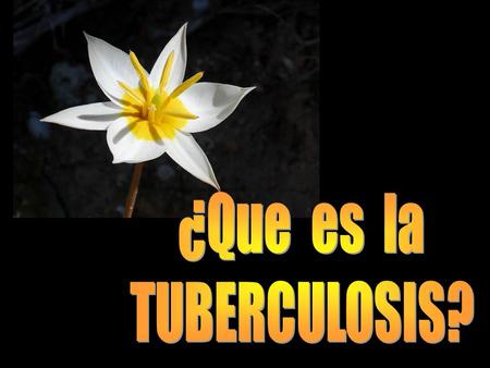¿Que es la TUBERCULOSIS?.