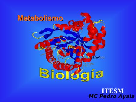 Metabolismo Aldolasa Biología ITESM MC Pedro Ayala.