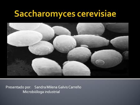 Presentado por: Sandra Milena Galvis Carreño Microbióloga industrial.