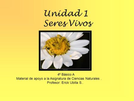 Unidad 1 Seres Vivos 4º Básico A