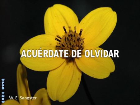 W. E. Sangster ¡Nunca podré olvidar el daño que me hizo! Lo suyo es imperdonable y cada vez que lo veo recuerdo lo mal que me sentí por su culpa Cuántas.