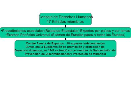 Consejo de Derechos Humanos