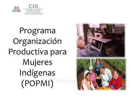 Programa Organización Productiva para Mujeres Indígenas (POPMI)