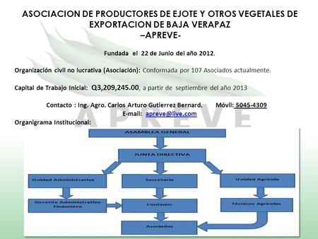 ASOCIACION DE PRODUCTORES DE EJOTE Y OTROS VEGETALES DE EXPORTACION DE BAJA VERAPAZ –APREVE- Fundada el 22 de Junio del año 2012. Organización civil no.