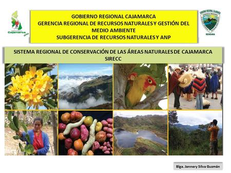 GOBIERNO REGIONAL CAJAMARCA GERENCIA REGIONAL DE RECURSOS NATURALES Y GESTIÓN DEL MEDIO AMBIENTE SUBGERENCIA DE RECURSOS NATURALES Y ANP SISTEMA REGIONAL.