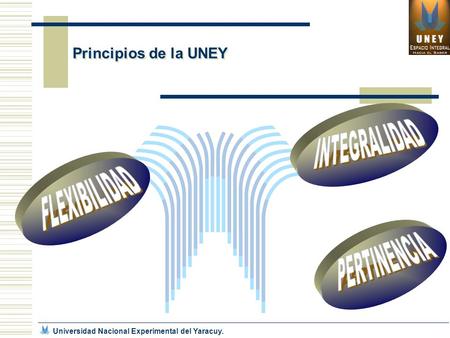 Principios de la UNEY Universidad Nacional Experimental del Yaracuy.