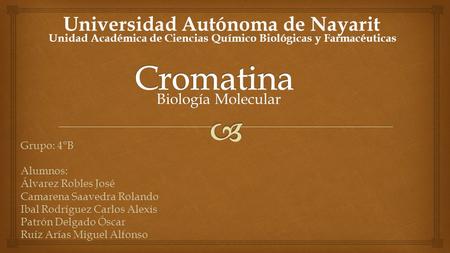 Cromatina Universidad Autónoma de Nayarit Biología Molecular