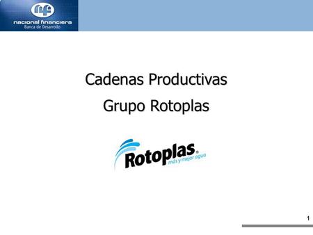 Cadenas Productivas Grupo Rotoplas.