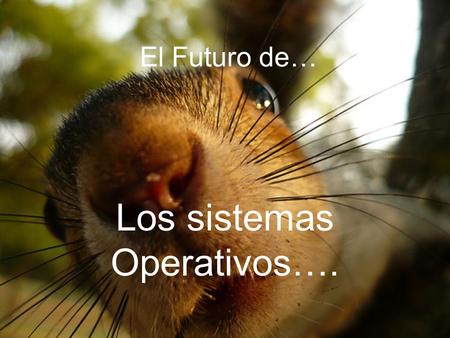 Los sistemas Operativos….