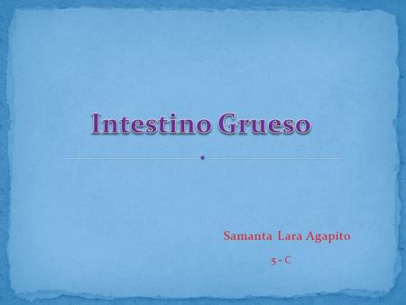 Intestino Grueso Samanta Lara Agapito 5 - C.