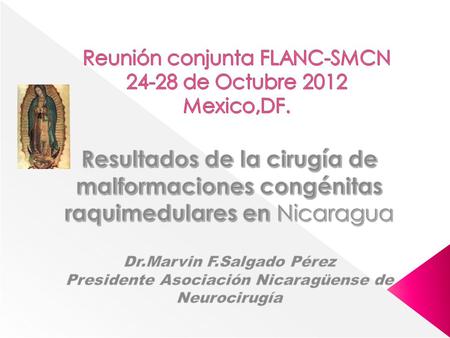 Reunión conjunta FLANC-SMCN de Octubre 2012 Mexico,DF.