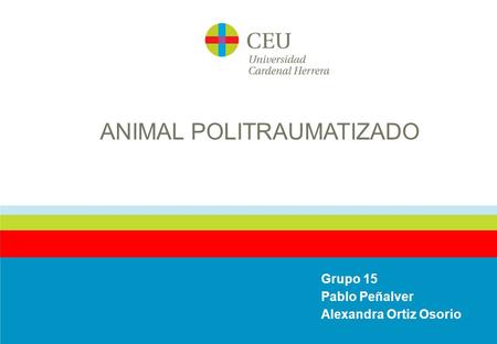 ANIMAL POLITRAUMATIZADO