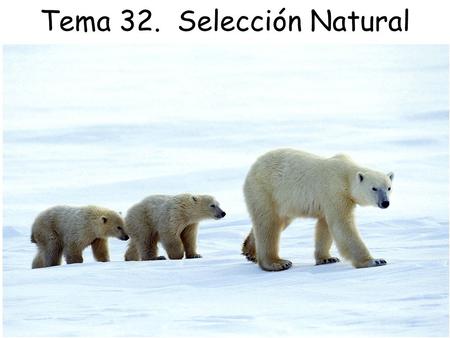 Tema 32. Selección Natural