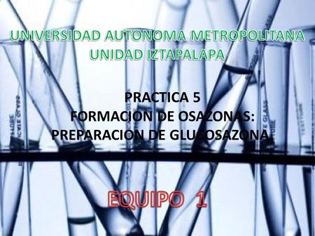 EQUIPO 1 UNIVERSIDAD AUTONOMA METROPOLITANA UNIDAD IZTAPALAPA