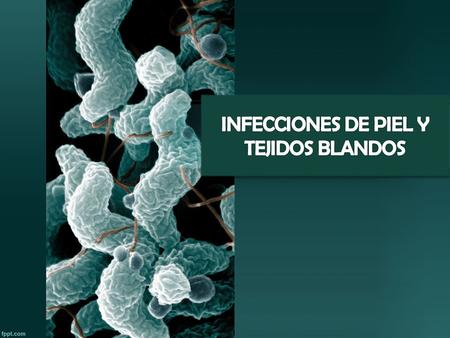 INFECCIONES DE PIEL Y TEJIDOS BLANDOS