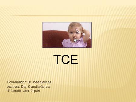 TCE Coordinador: Dr. José Salinas Asesora: Dra. Claudia García