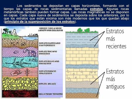 Los sedimentos se depositan en capas horizontales, formando con el tiempo las capas de rocas sedimentarias llamadas estratos. Algunas rocas metamórficas.