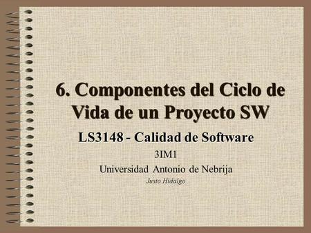 6. Componentes del Ciclo de Vida de un Proyecto SW
