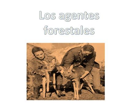 Esto es lo que os vamos a mostrar. La charla que nos han dado. Su camión. Como se comunican. Como se organizan.. Etc.